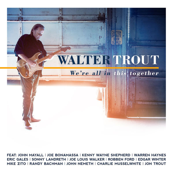 Art for Do You Still See Me At All (feat. Jon Trout) by Walter Trout