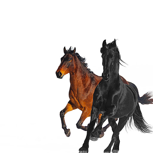 Art for Old Town Road (Remix) (feat. Billy Ray Cyrus) by Lil Nas X