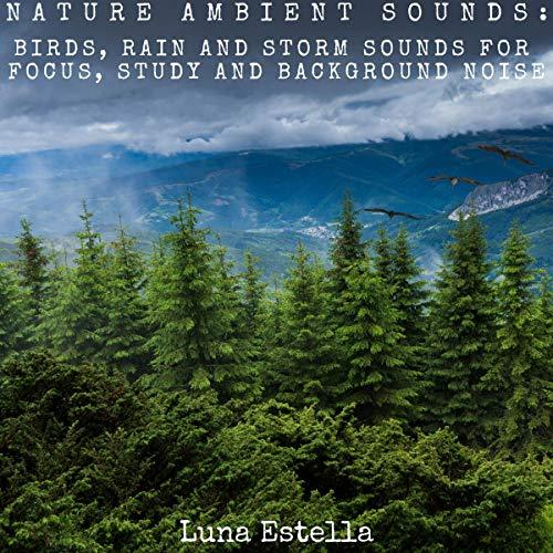 Art for 4 - Nature Ambient Sounds by Luna Estella