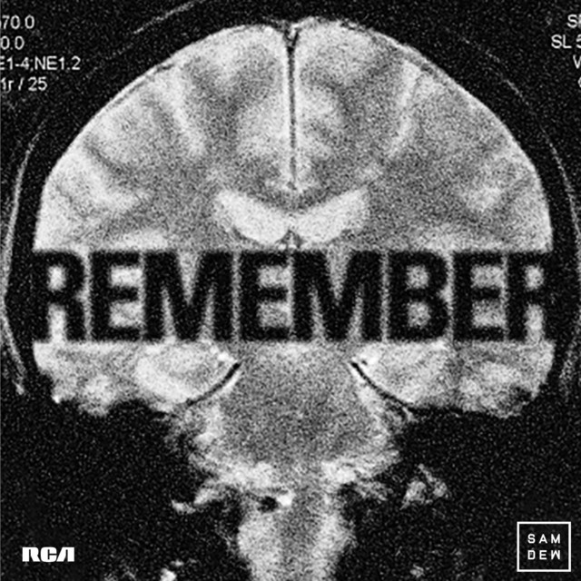 Artwork for Remember