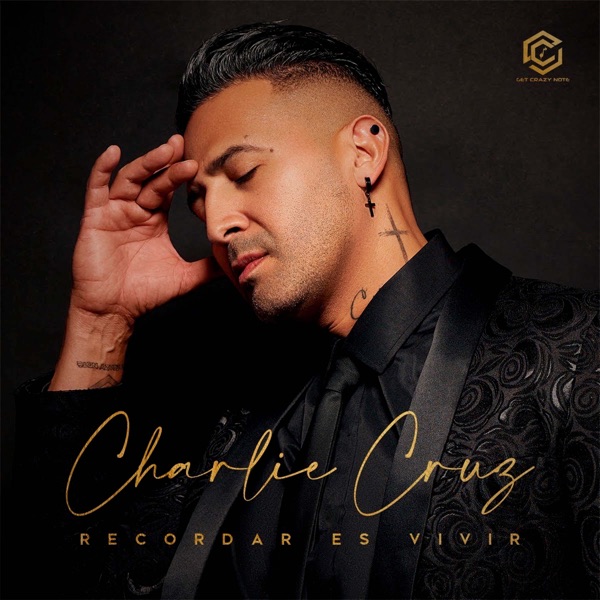 Art for Lo Mejor de Tu Vida by Charlie Cruz