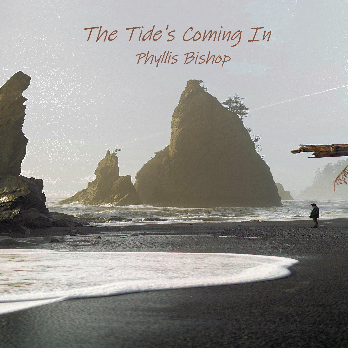 Art for The Tide's Coming In by Phyliss Bishop