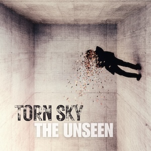 Artwork for The Unseen
