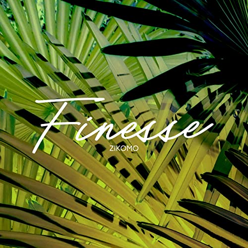 Art for Finesse by Zikomo