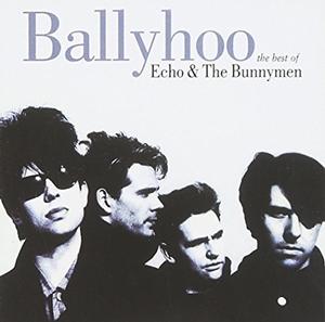 Art for The Back Of Love by Echo & The Bunnymen