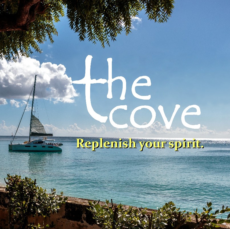 The Cove logo
