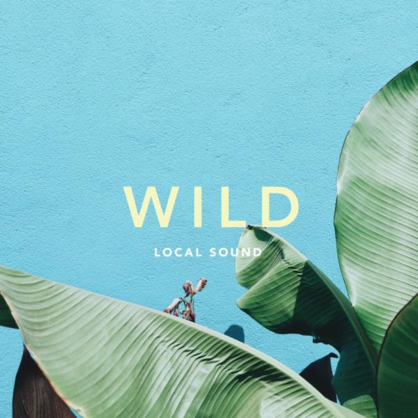 Wild album art