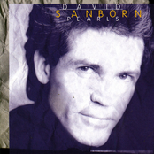 Art for Try A Little Tenderness by David Sanborn