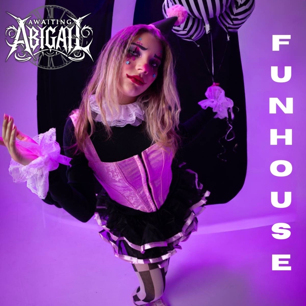 Artwork for Funhouse