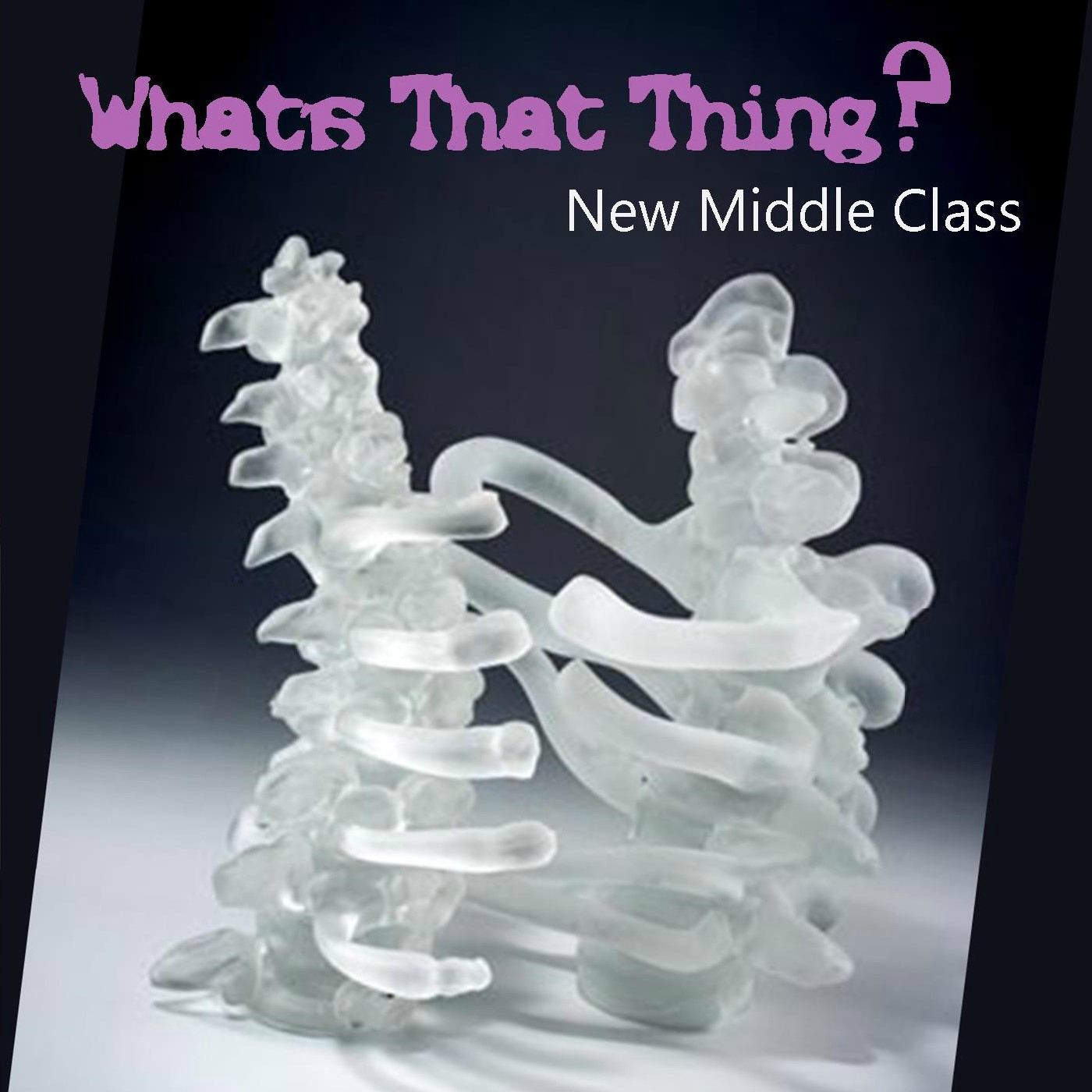 Art for What's That Thing? by New Middle Class