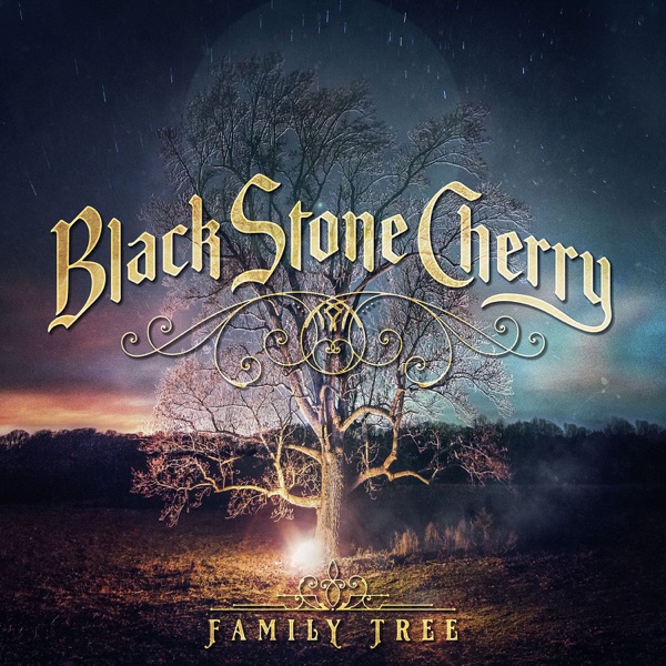 Art for Dancin' in the Rain (feat. Warren Haynes) by Black Stone Cherry