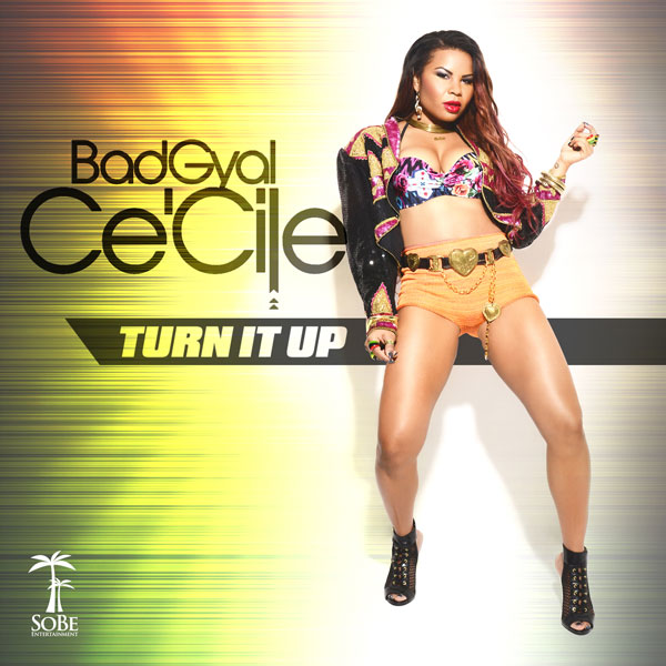Art for Ce'Ciile - Turn It Up by Ce'Cile