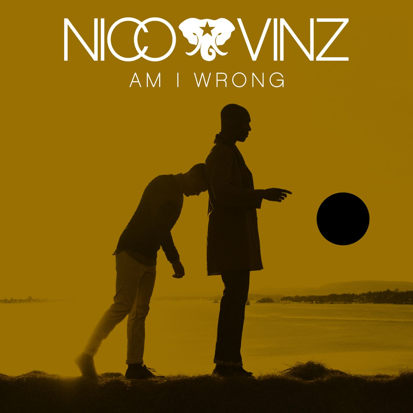 Art for Am I Wrong (C) by Nico & Vinz