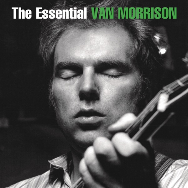 Art for Someone Like You by Van Morrison