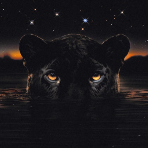 Artwork for SOS (Sex On Sight)