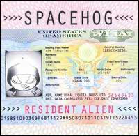 Art for In The Meantime by Spacehog