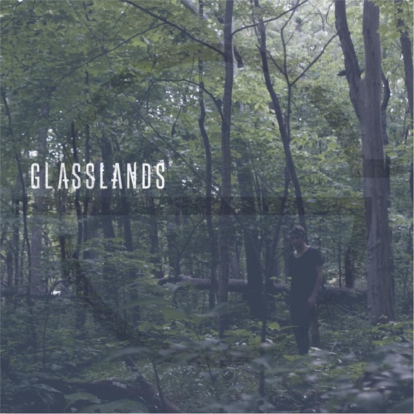 Art for Meaningless by Glasslands