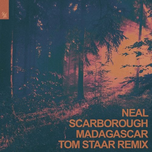 Art for Madagascar (Tom Staar Remix) (Clean Extended) by Neal Scarborough