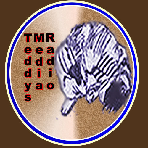 Teddy's Media Radio logo