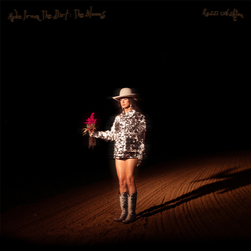 Artwork for Made From The Dirt
