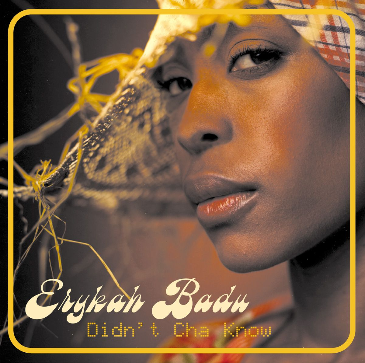 Art for Didn't Cha Know (Quick Hit Clean) by Erykah Badu