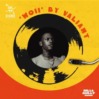 Artwork for Woii