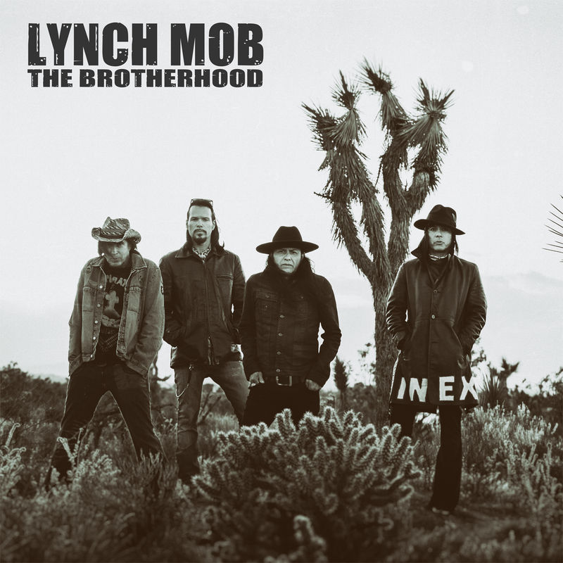 Art for Until The Sky Comes Down by Lynch Mob