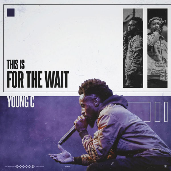 Art for The Wait by Young C