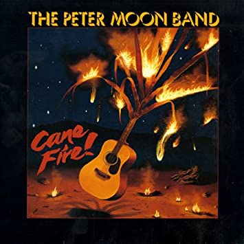 Artwork for Flying
