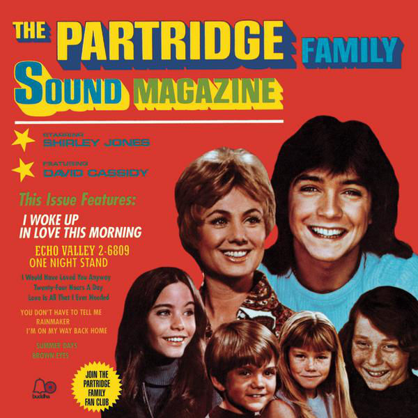 Art for Summer Days by The Partridge Family