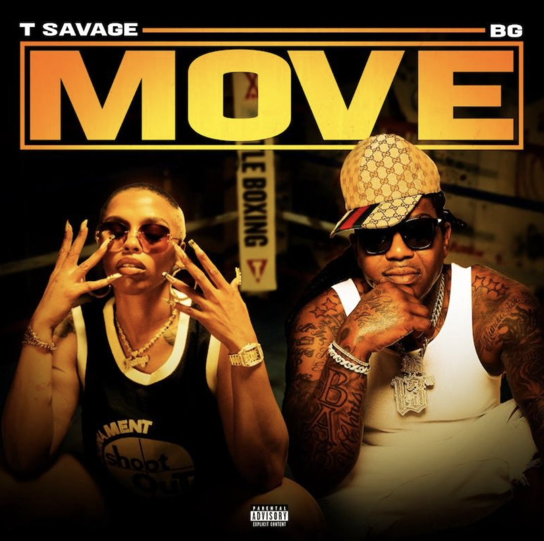Artwork for Move