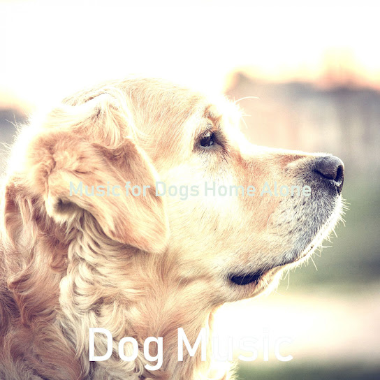 Art for Magnificent Music for Training Your Dog by Dog Music