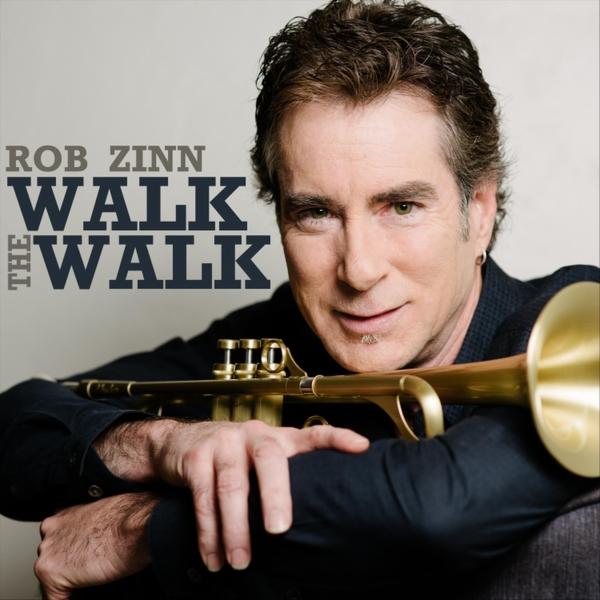 Art for Never Gonna Give up on You (feat. Paul Brown) by Rob Zinn