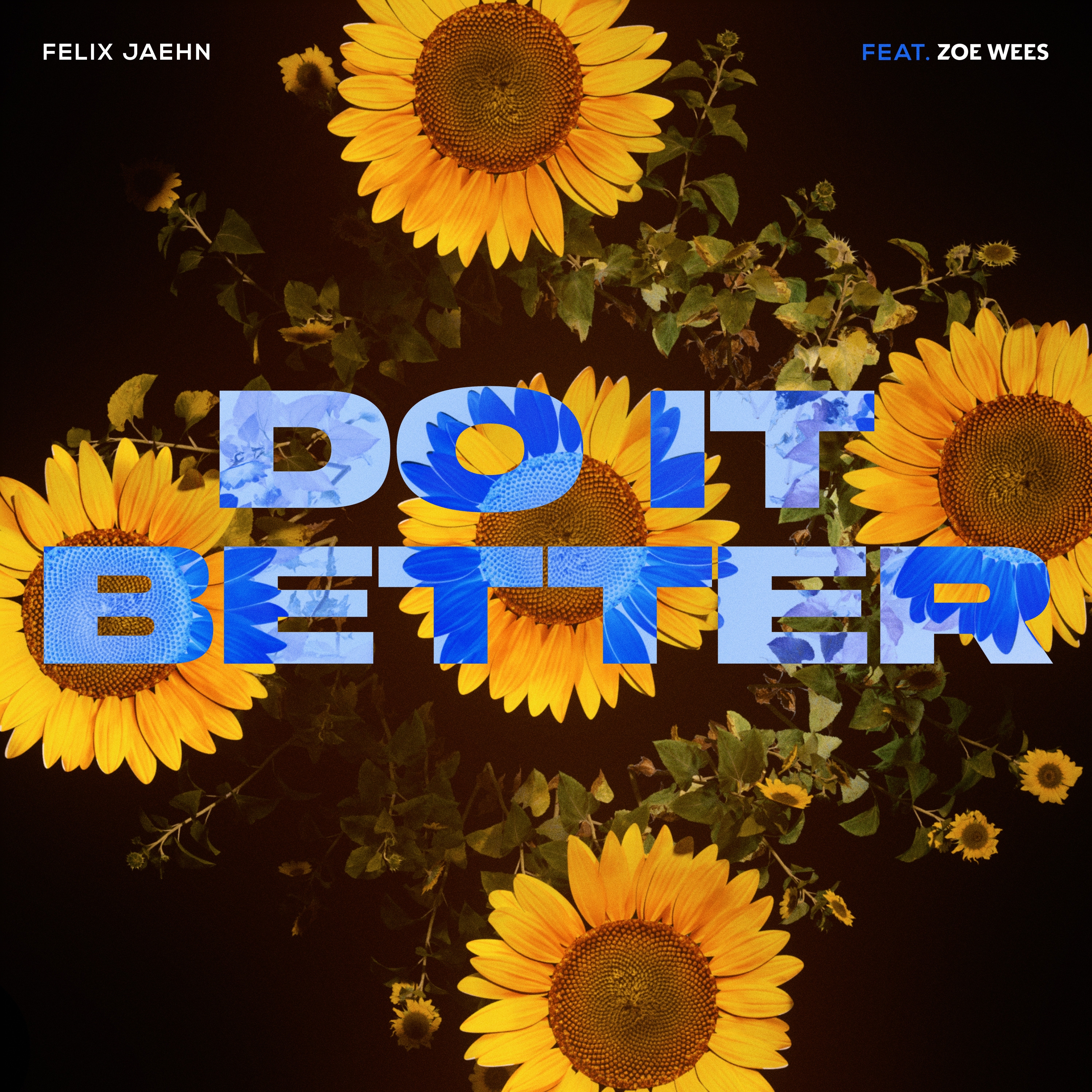 Art for Do It Better (Remix)  by Felix Jaehn Feat. Zoe Wees