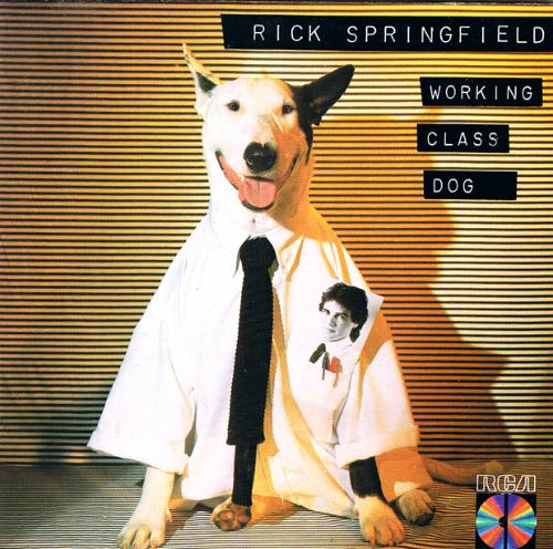 Art for I've Done Everything For You by Rick Springfield