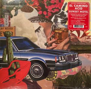 Art for Don’t Wanna Lose You by El Camino Acid