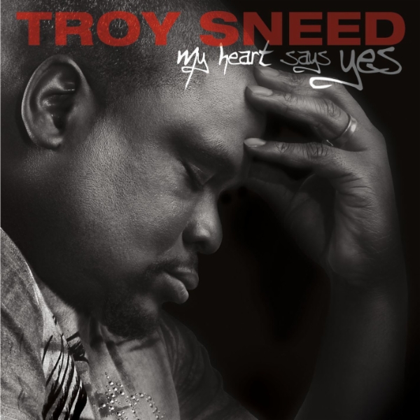 Art for My Heart Says Yes  by Troy Sneed