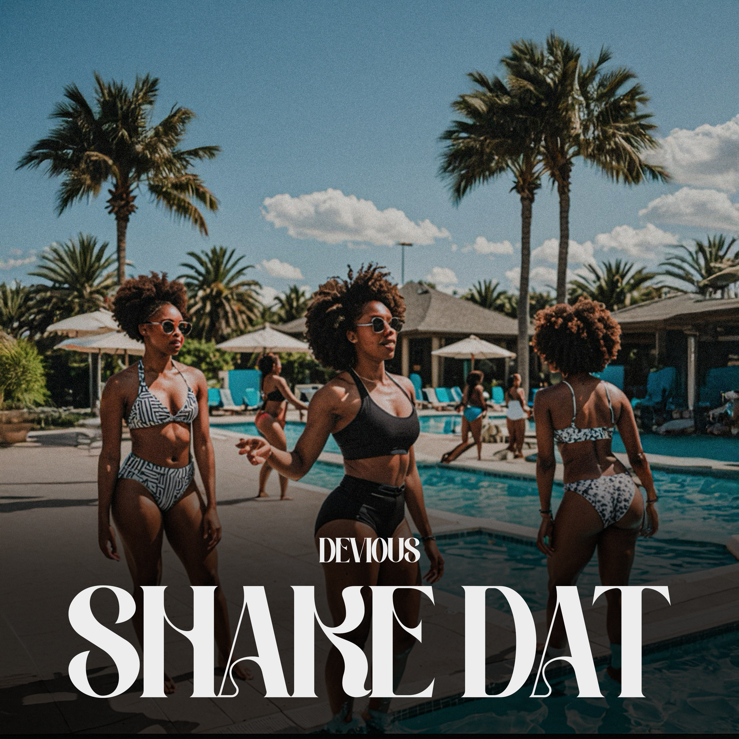 Artwork for Shake Dat
