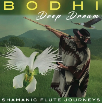 Art for Waves of Color by BODHI