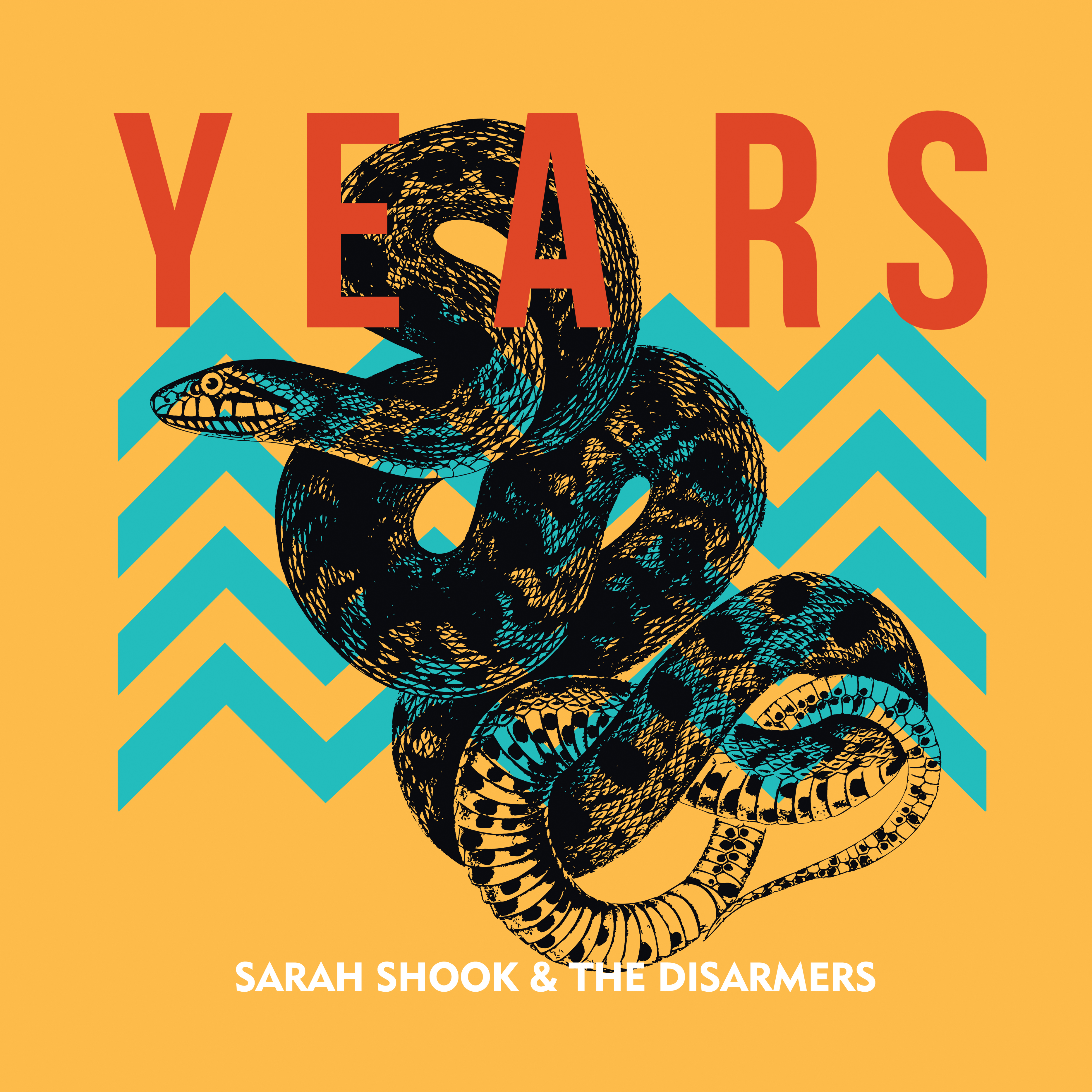 Art for The Bottle Never Lets Me Down by Sarah Shook & the Disarmers