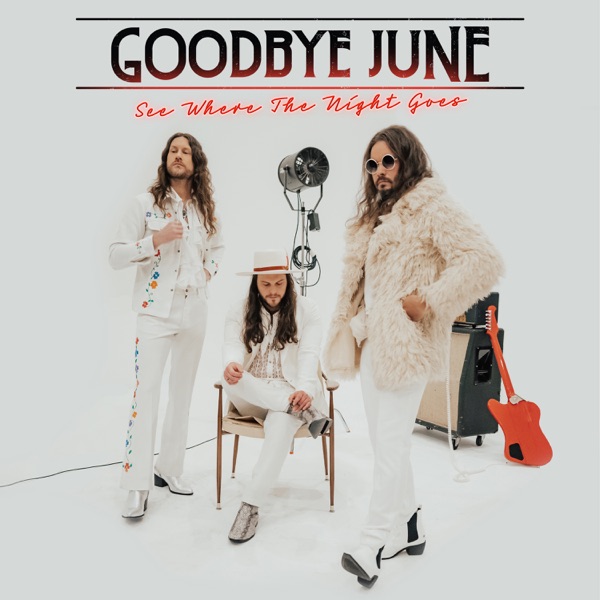Artwork for See Where The Night Goes