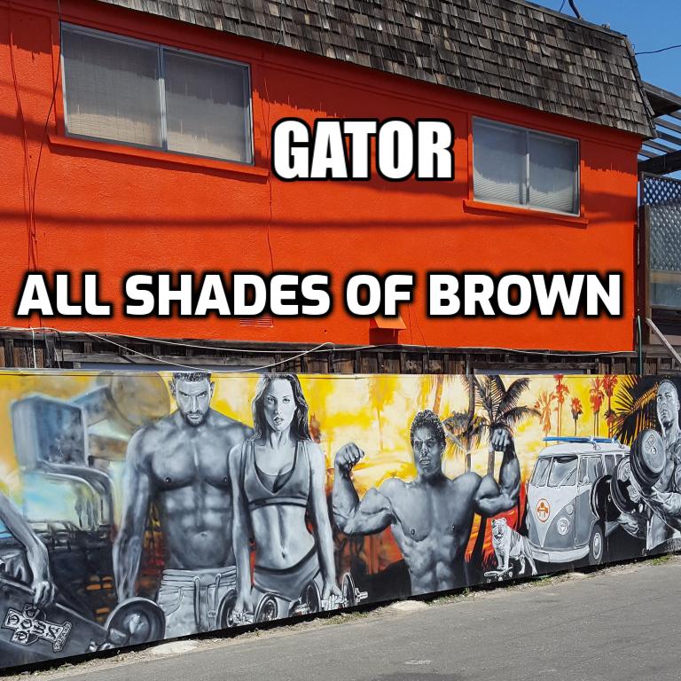 Art for All Shades of Brown by Gator