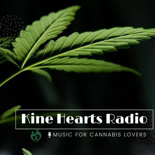 Kine Hearts Radio logo