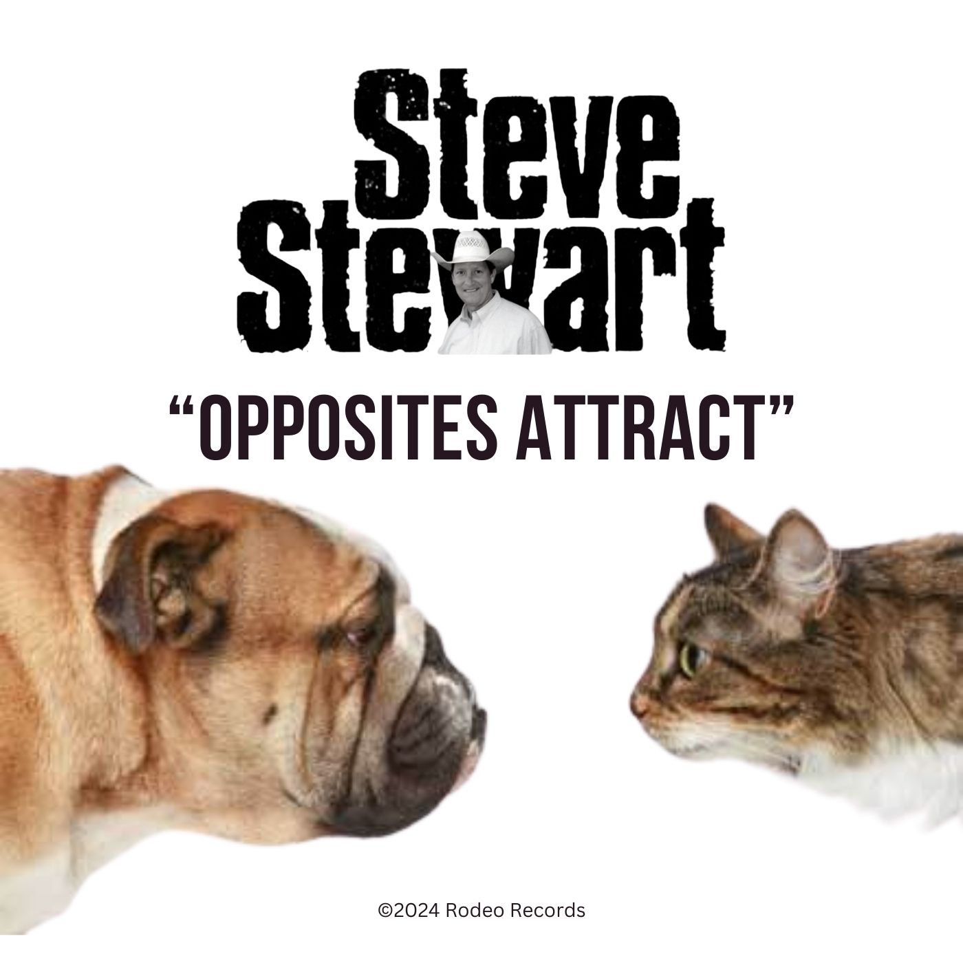 Art for Opposites Attract - Steve Stewart by Steve Stewart