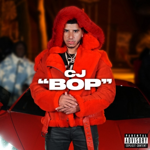 BOP kapağı