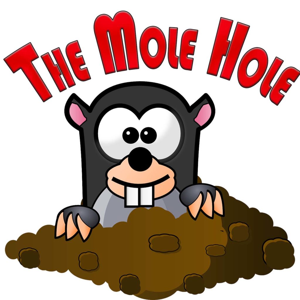 Art for The Mole Hole by Hopeville, Arizona
