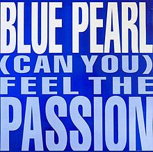 Artwork for (Can You) Feel The Passion (Youth Mix)