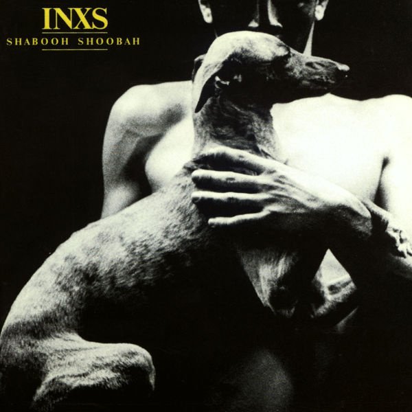 Art for Don't Change by INXS
