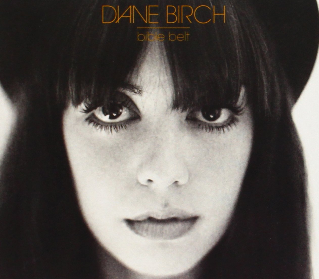 Art for Choo Choo by Diane Birch