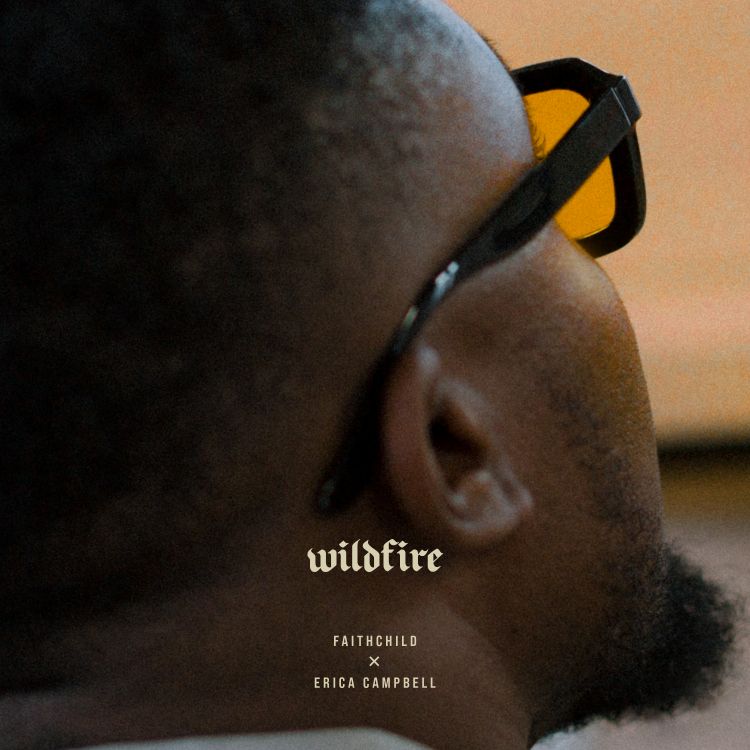 Artwork for WILDFIRE